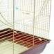 Клітка для птахів JOYPET латунь 37х28х57 A3129GL A3129GL фото 7